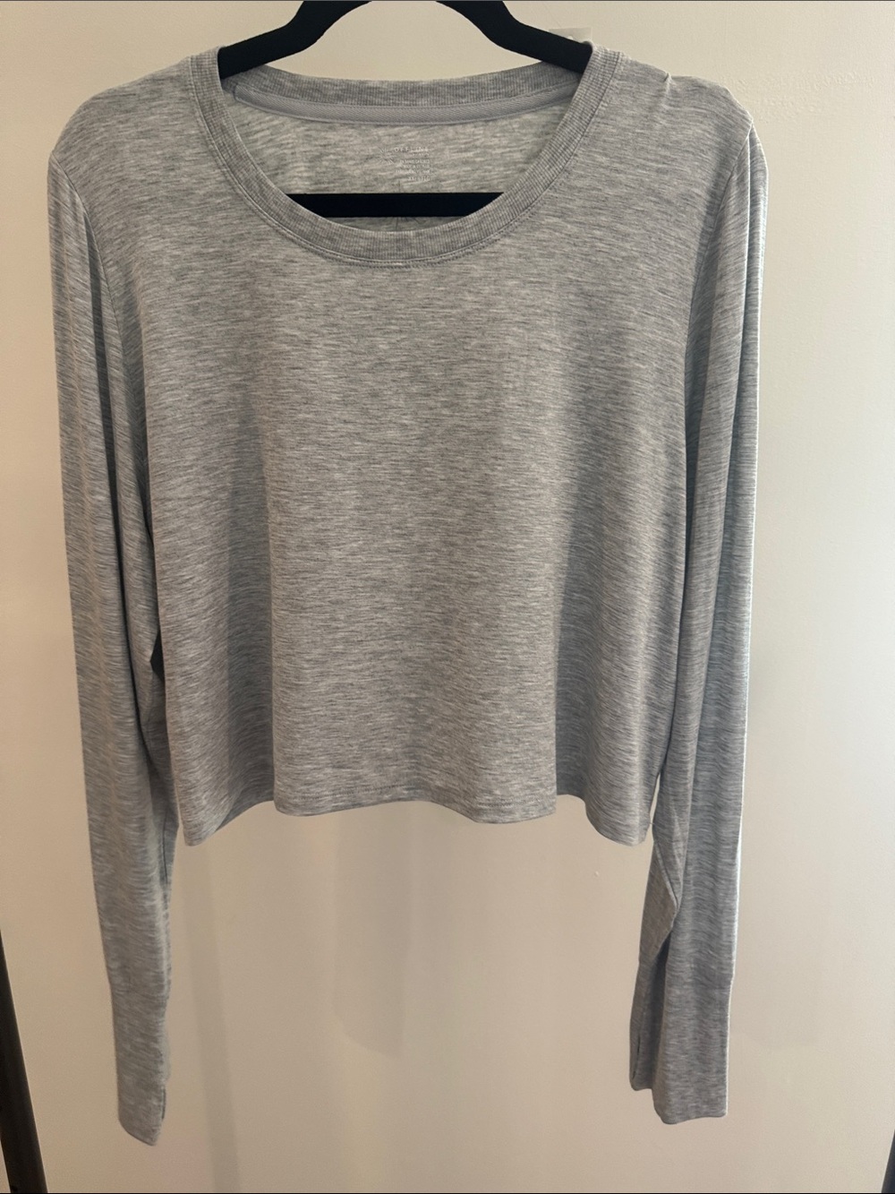 aerie Light Gray Long Sleeve Crop Top